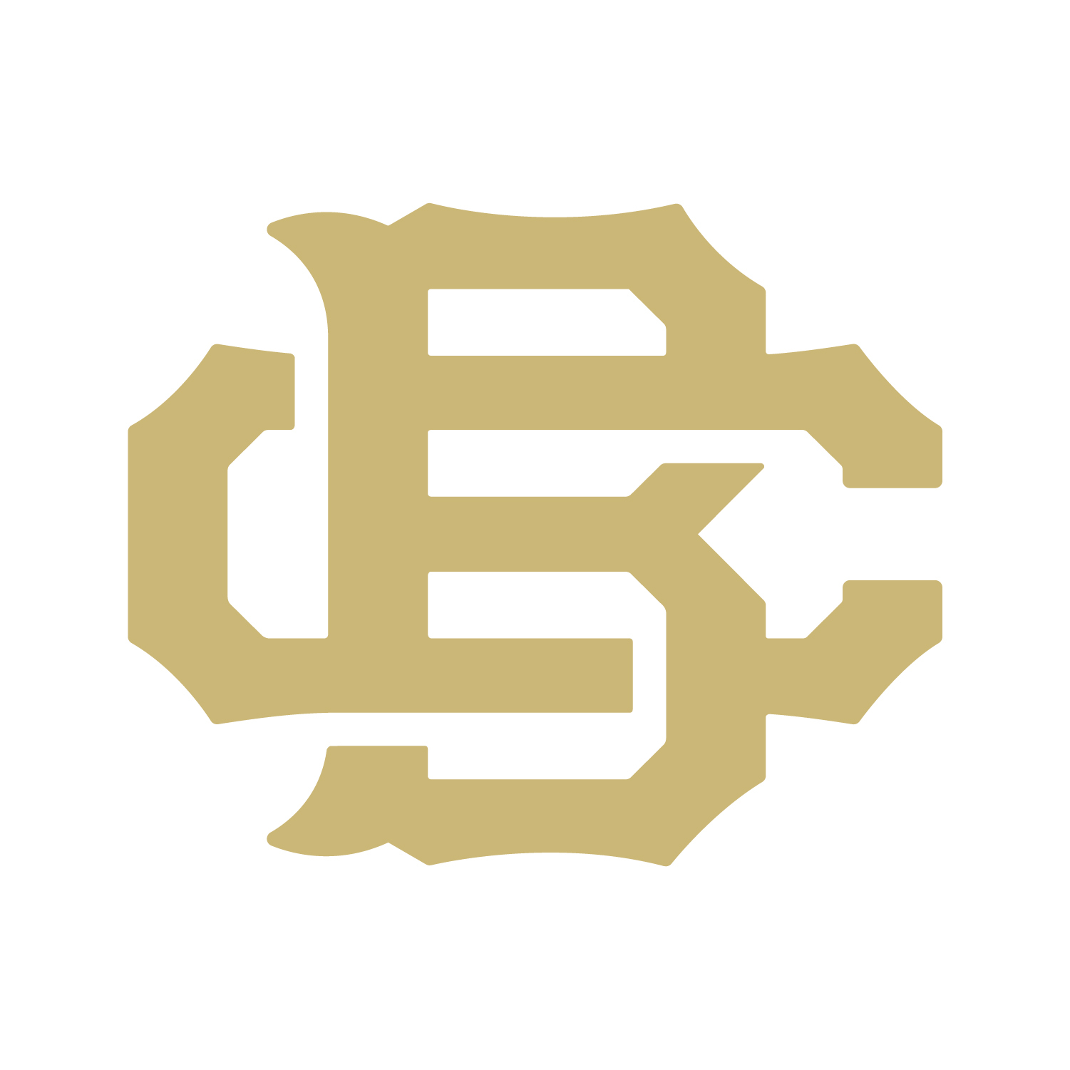 2025 Junior/Senior Prom - logo